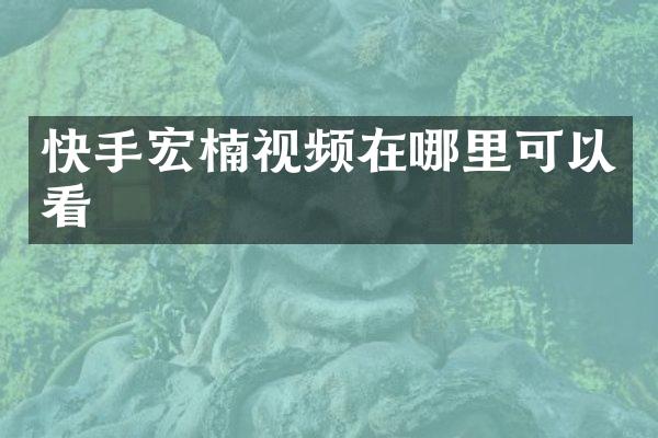 快手宏楠视频在哪里可以看