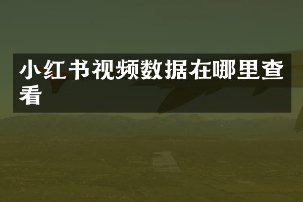 小红书视频数据在哪里查看