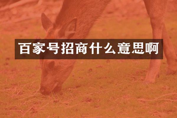 百家号招商什么意思啊