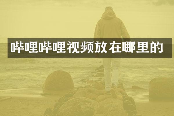 哔哩哔哩视频放在哪里的