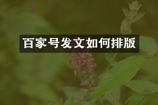 百家号发文如何排版