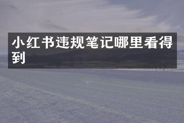 小红书违规笔记哪里看得到