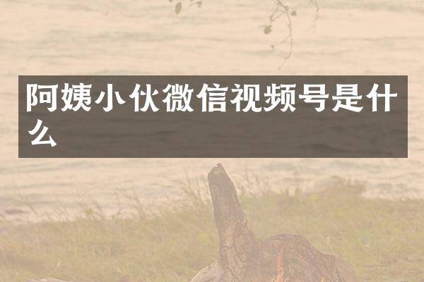 阿姨小伙微信视频号是什么