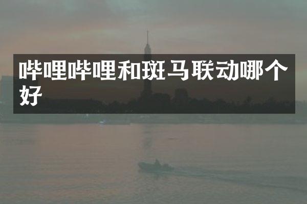 哔哩哔哩和斑马联动哪个好