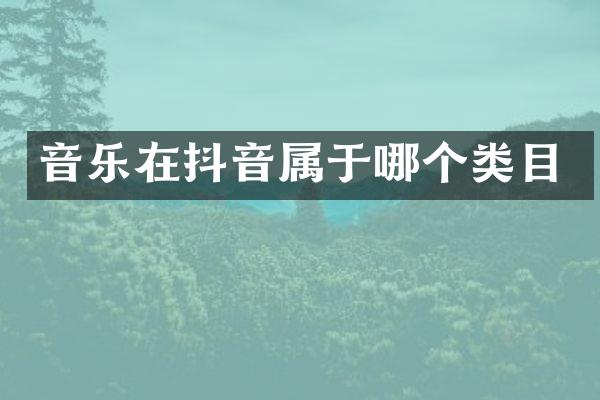 音乐在抖音属于哪个类目
