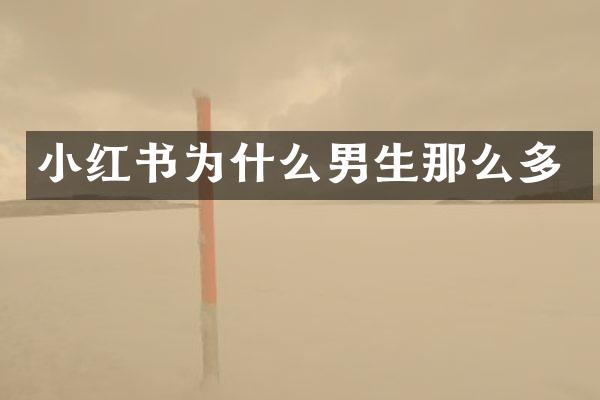小红书为什么男生那么多