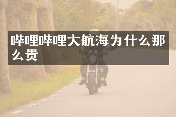 哔哩哔哩大航海为什么那么贵