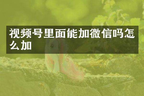 视频号里面能加微信吗怎么加