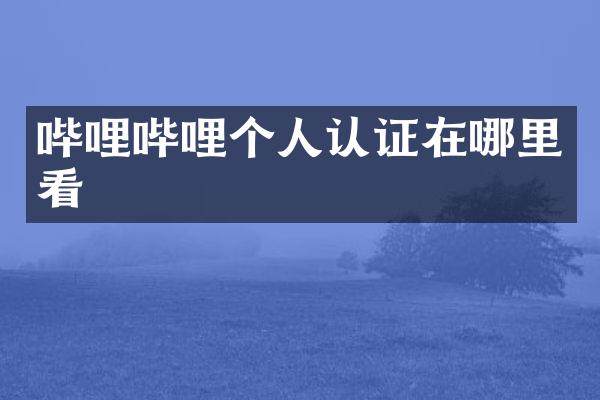 哔哩哔哩个人认证在哪里看