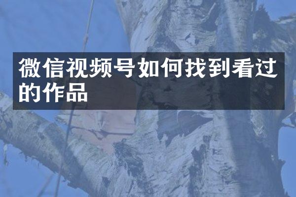 微信视频号如何找到看过的作品