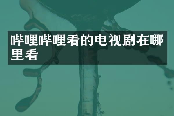 哔哩哔哩看的电视剧在哪里看