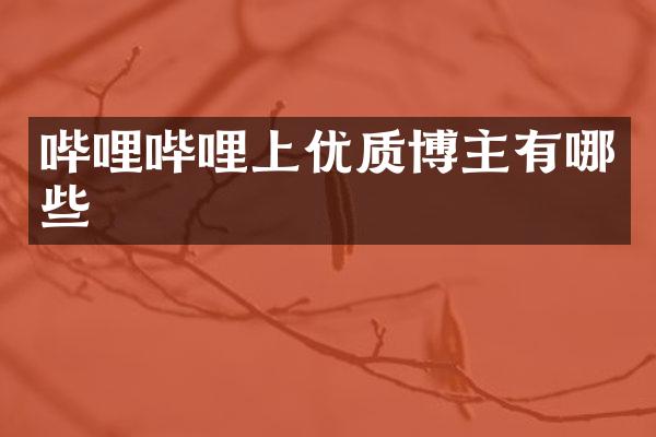 哔哩哔哩上优质博主有哪些