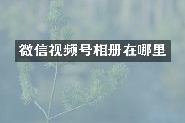 微信视频号相册在哪里