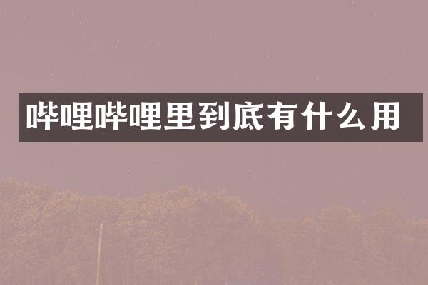 哔哩哔哩里到底有什么用