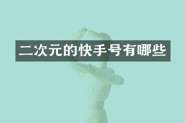 二次元的快手号有哪些