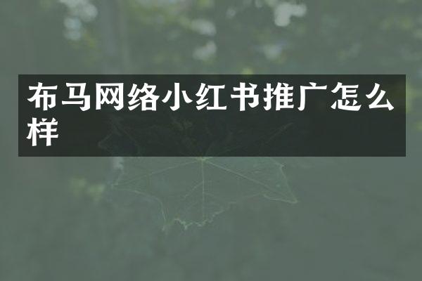 布马网络小红书推广怎么样