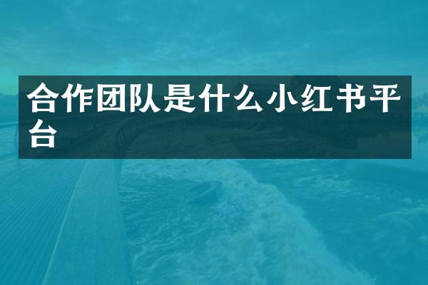 合作团队是什么小红书平台