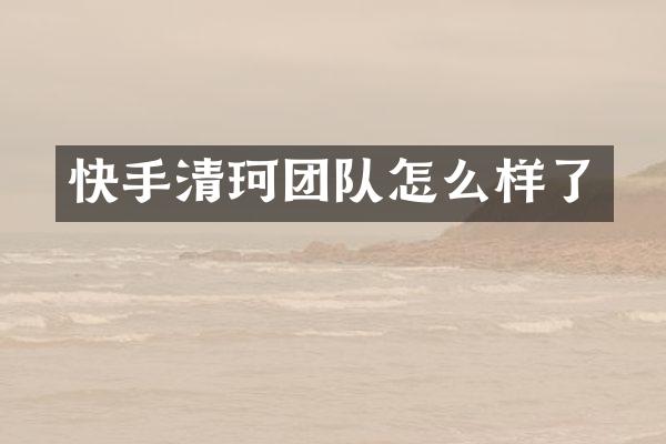 快手清珂团队怎么样了