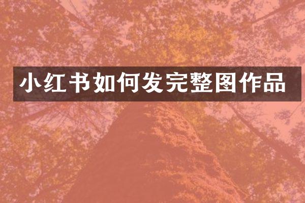 小红书如何发完整图作品