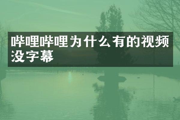 哔哩哔哩为什么有的视频没字幕