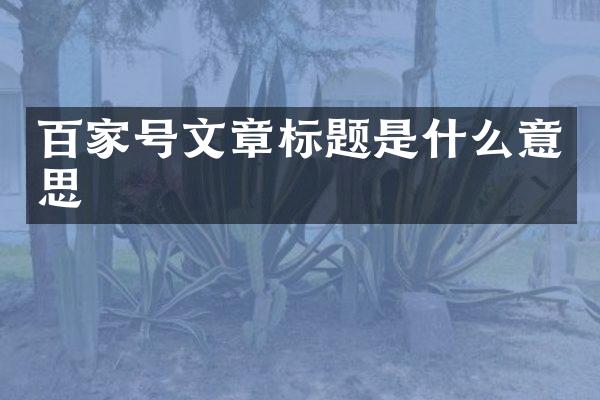 百家号文章标题是什么意思
