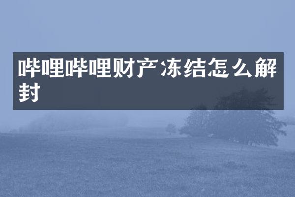 哔哩哔哩财产冻结怎么解封