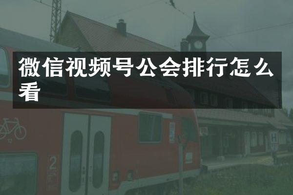 微信视频号公会排行怎么看