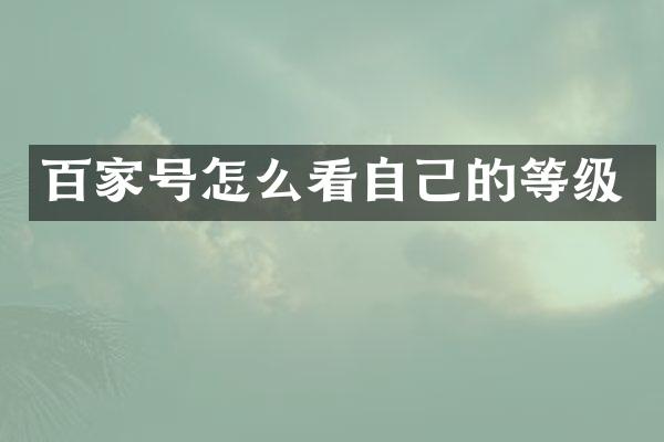百家号怎么看自己的等级