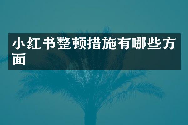 小红书整顿措施有哪些方面