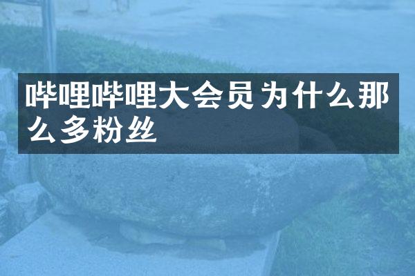 哔哩哔哩大会员为什么那么多粉丝