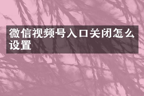 微信视频号入口关闭怎么设置