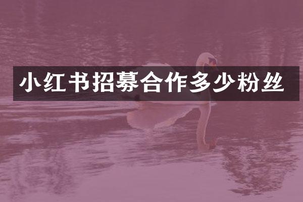 小红书招募合作多少粉丝