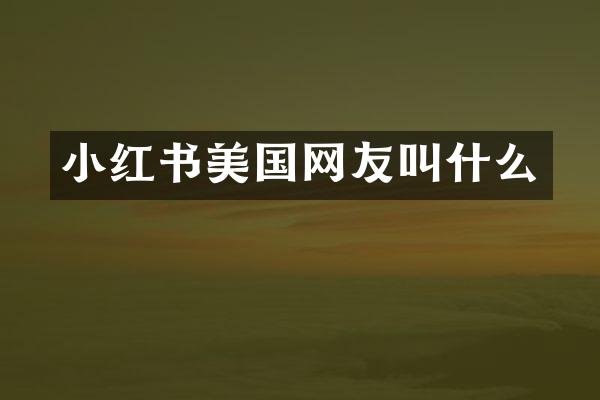 小红书美国网友叫什么