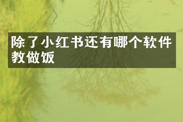 除了小红书还有哪个软件教做饭