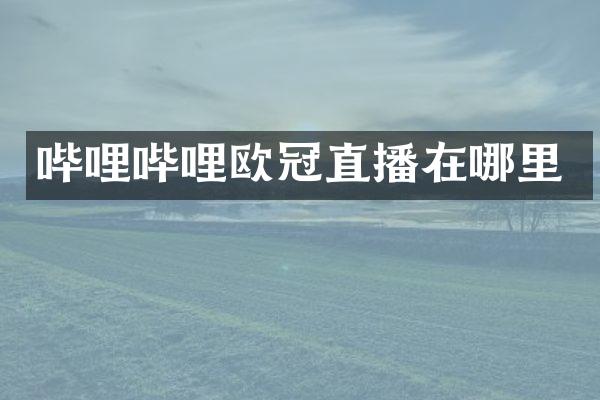 哔哩哔哩欧冠直播在哪里