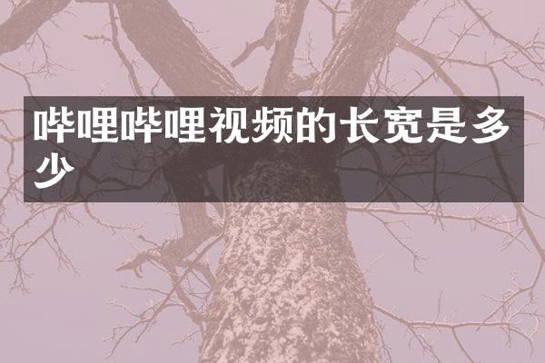 哔哩哔哩视频的长宽是多少