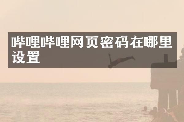 哔哩哔哩网页密码在哪里设置