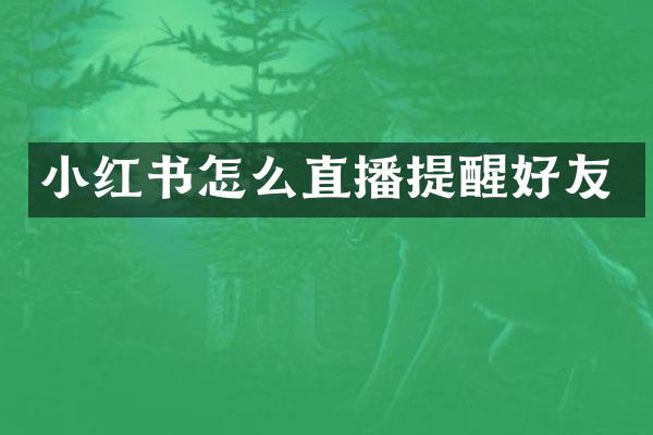 小红书怎么直播提醒好友