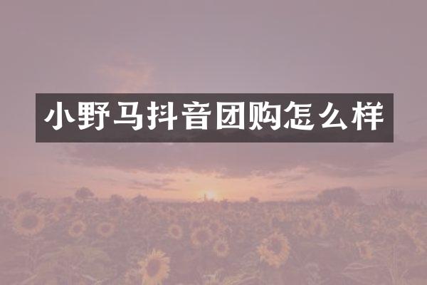 小野马抖音团购怎么样