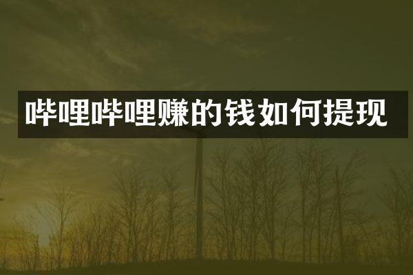 哔哩哔哩赚的钱如何提现