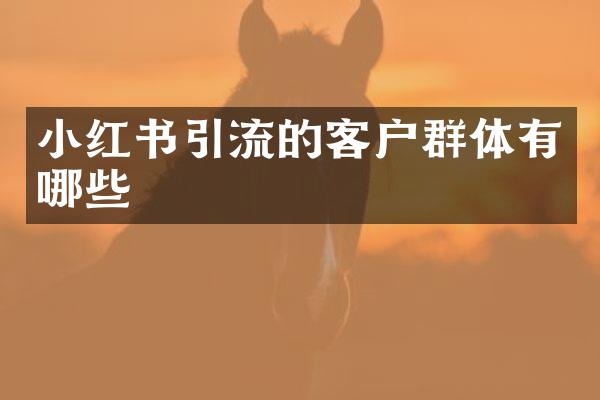 小红书引流的客户群体有哪些