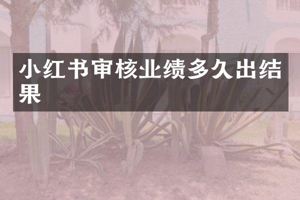 小红书审核业绩多久出结果