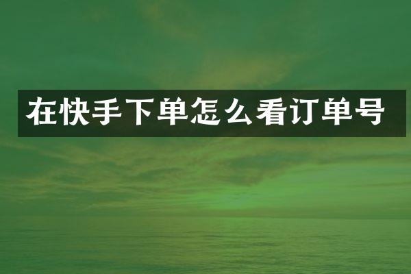 在快手下单怎么看订单号