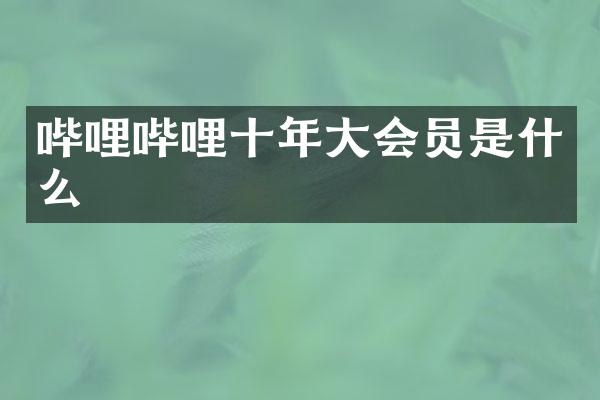 哔哩哔哩十年大会员是什么