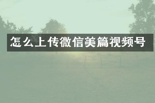 怎么上传微信美篇视频号