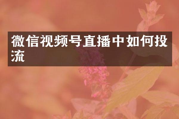 微信视频号直播中如何投流