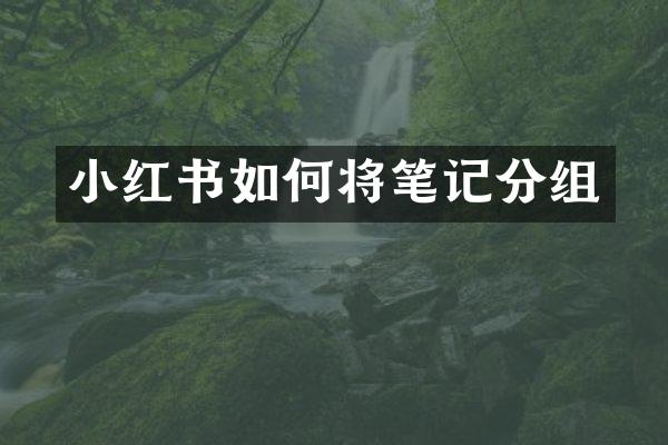 小红书如何将笔记分组