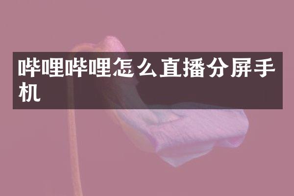 哔哩哔哩怎么直播分屏手机
