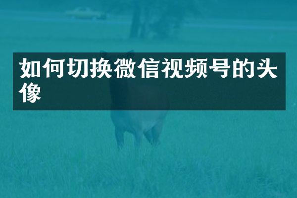 如何切换微信视频号的头像