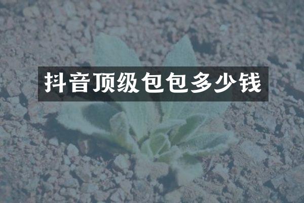 抖音顶级包包多少钱